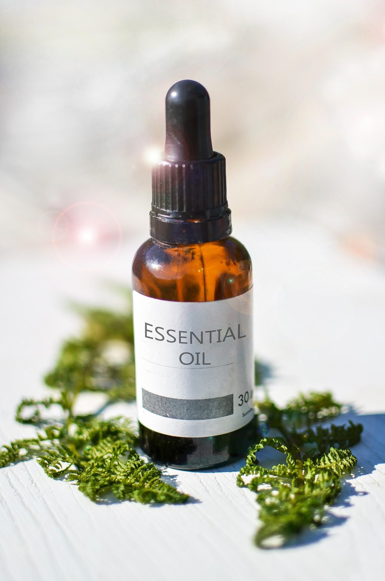 Flacon d'huile essentielle et plantes fraîches lors d'un atelier d'aromathérapie à la Maison Iturria