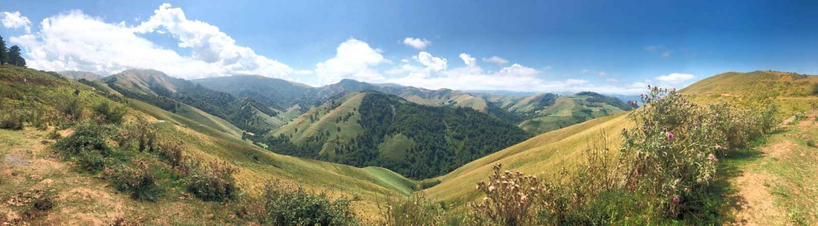 Panorama sur la vallée et les collines de Basse-Navarre autour de Gamarthe